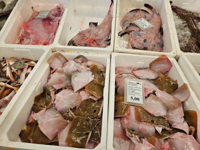 WhatsApp Image 2025-11-07 at 09.18.39 (2).jpeg